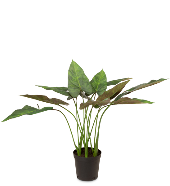 | 81 Kunstpflanze Anthurium Greenbop cm