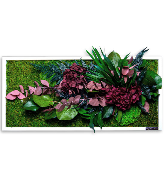 Pflanzenbild mit Hortensien | Greenbop