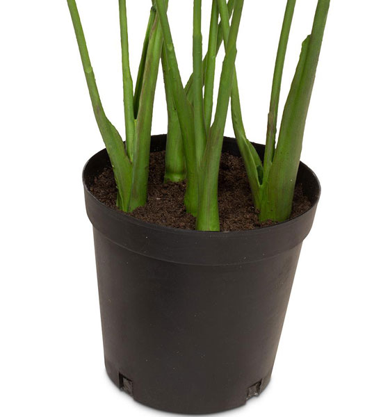 | Kunstpflanze cm Anthurium Greenbop 81